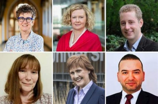 Irish Research Council Research Ally Awardees